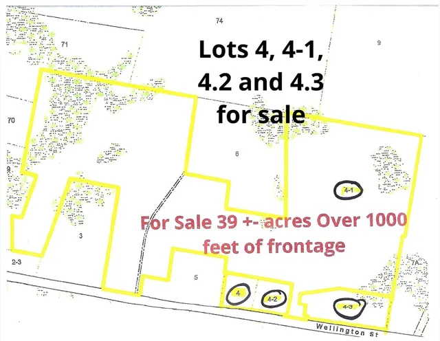 Opportunity abounds with this parcel of land. Four individual lots being sold as one parcel. Possible creation of a family compound, or subdivision with the front lots available to help finance the road construction.