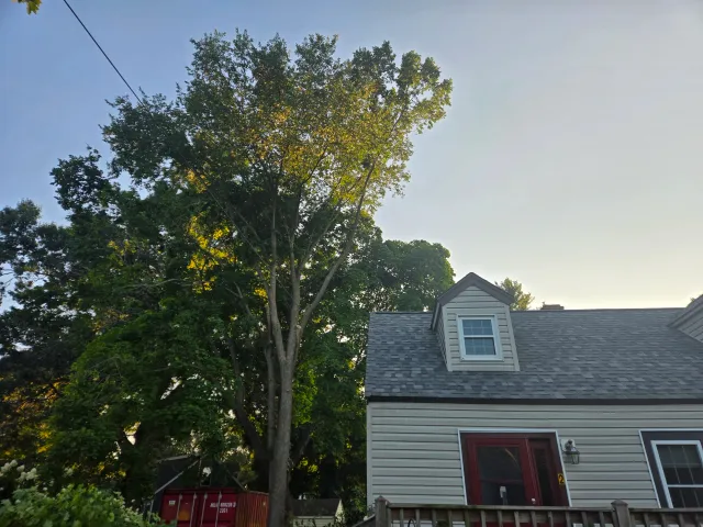 A residential house with beige siding and a gabled roof, next to a large green tree with dense foliage.