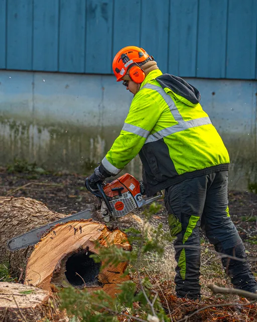 New England Tree Masters | Tree Service in Boxborough MA