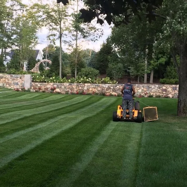 Sean Flynn Landscape Services work photo