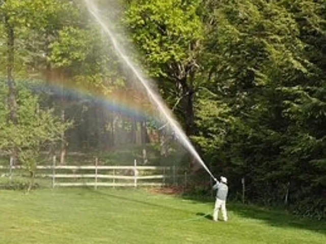 Winter Moth Control and Spray in MA