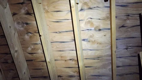 Finding Excess Moisture in Your Home: Attic Case Study