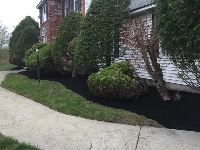 Gomez landscaping & Tree Removal work photo