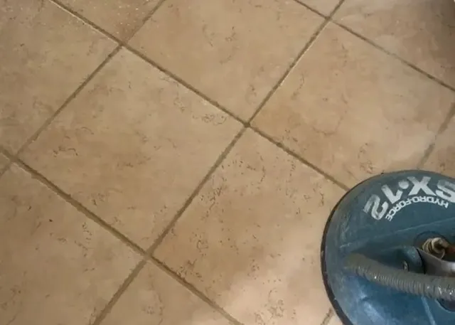 work photo from romancarpetcleaningservice.com