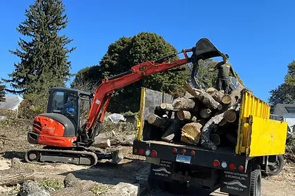 Storm Damage Cleanup – Restoring Your Property