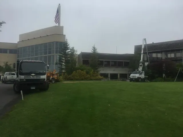 work photo from sandovaltreeservice.com