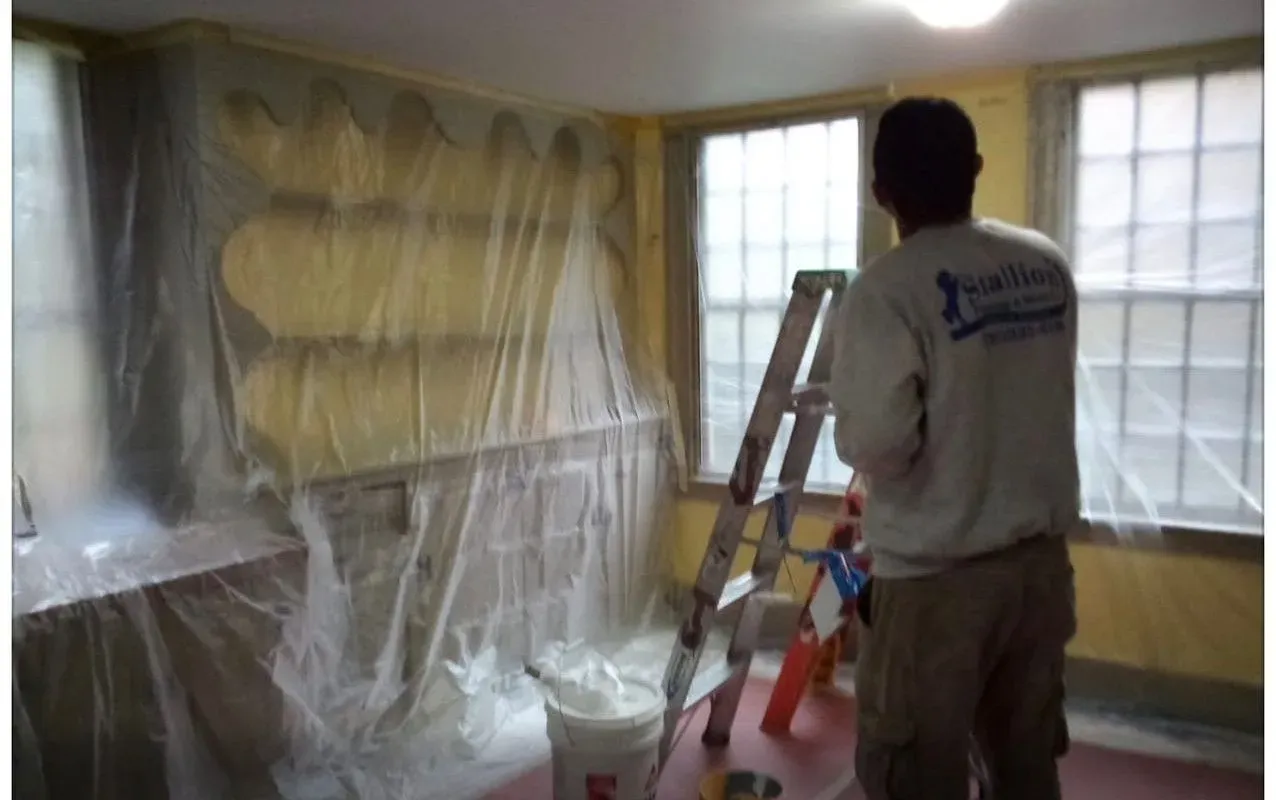 Person painting a room while another wall is covered in plastic sheeting, with a ladder and window light nearby
