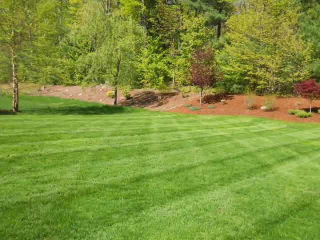 The Lawn King researched project photo