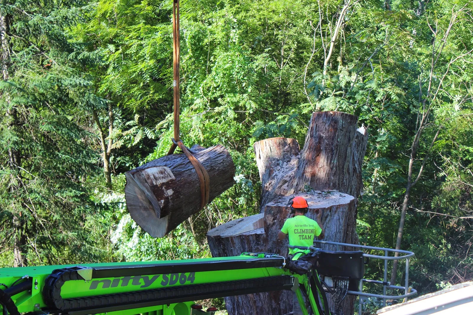 work photo from Google listing