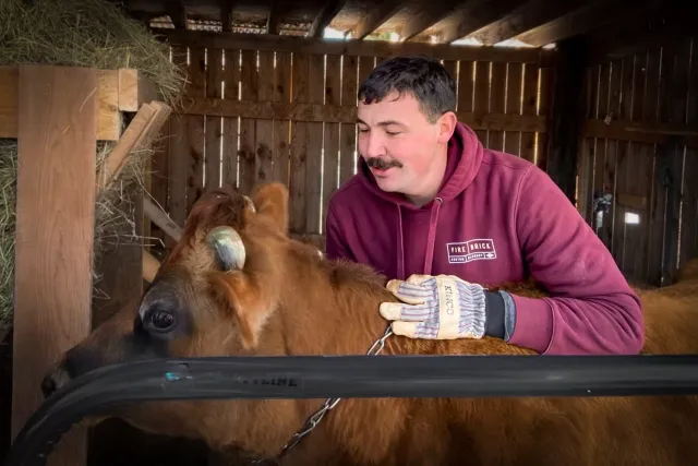 FireBrick Masonry & Excavation owner Jordan Provost at his home farm caring for cattle