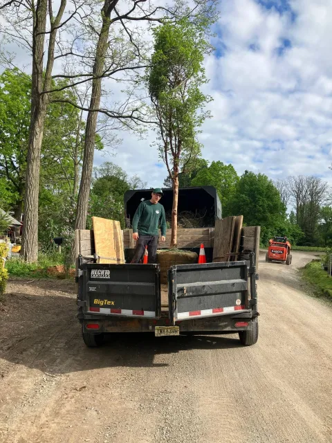 A man standing in the back of a truck loaded with a young tree, on a dirt road surrounded by green trees with a cloudy blue sky overhead.