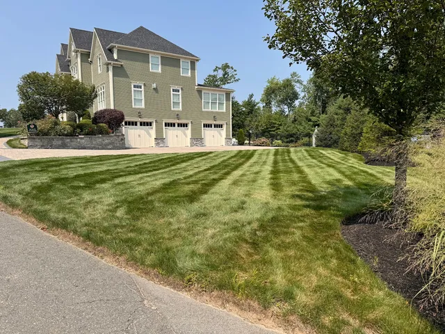 Best Views Landscaping work photo