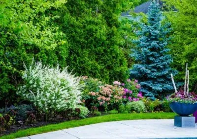 Curved garden bed with colorful flowers and neatly edged lawn