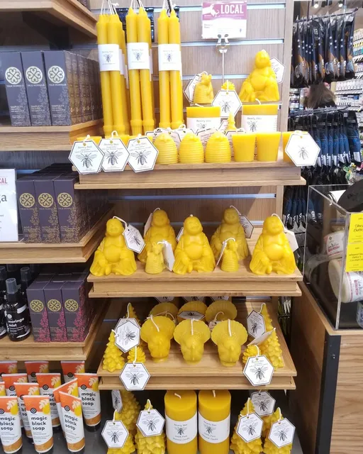 Beverly Bees