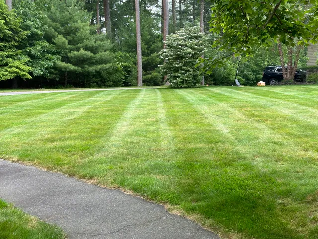 M&N Landscaping work photo