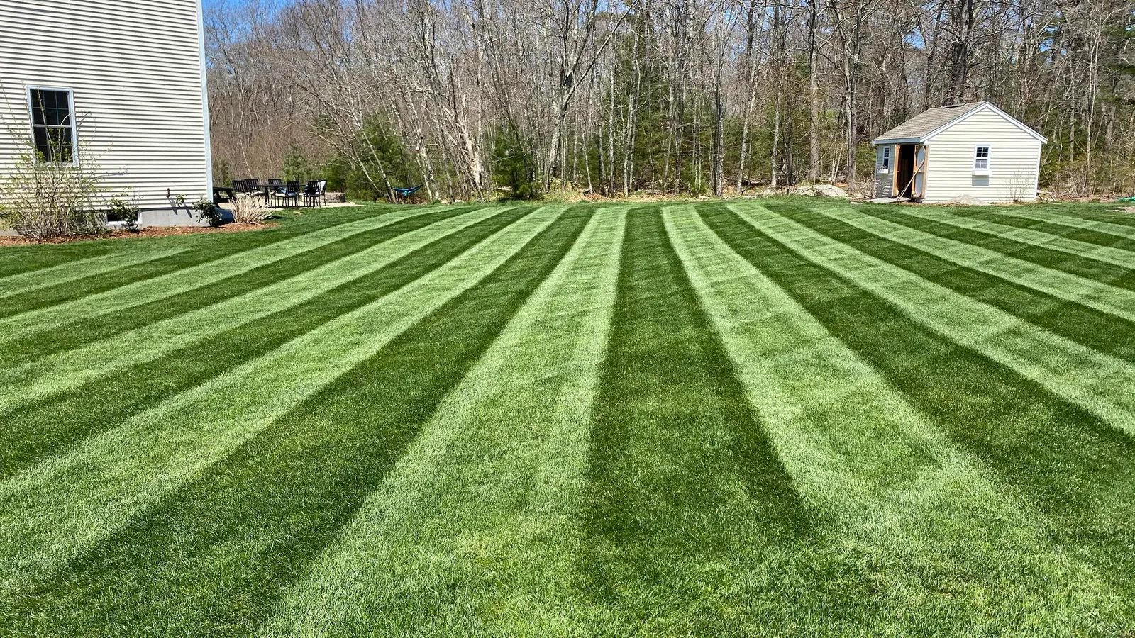 work photo from proturfcare.net