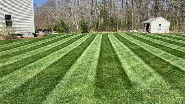work photo from proturfcare.net