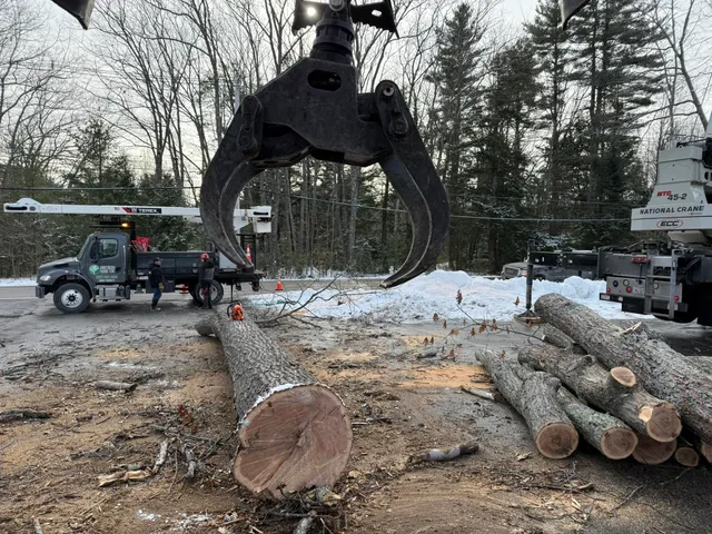Southern Maine Tree work photo