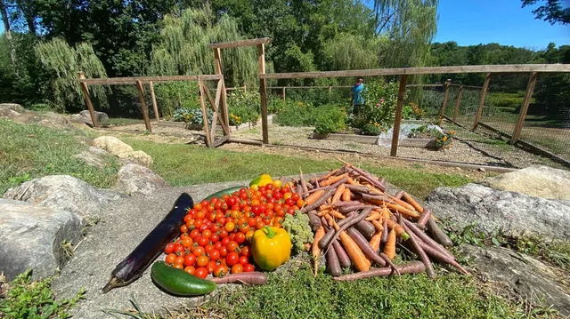 work photo from backtonature.earth