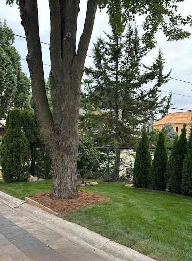 Bartlett Tree Experts work photo
