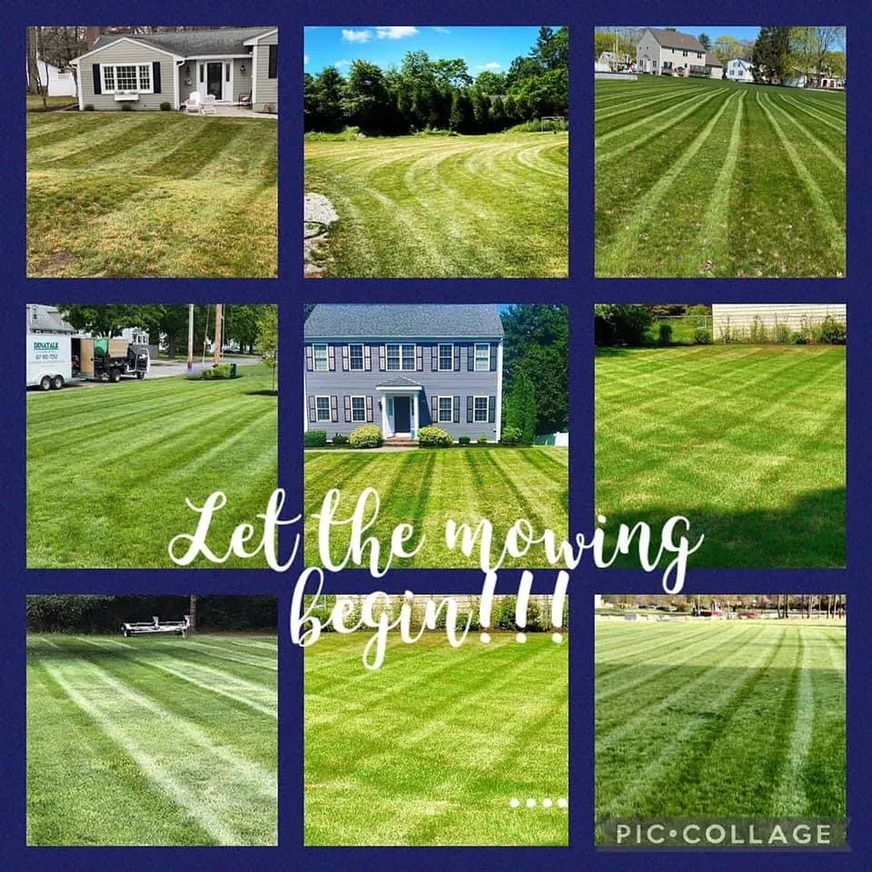 work photo from dinatalelandscaping.com