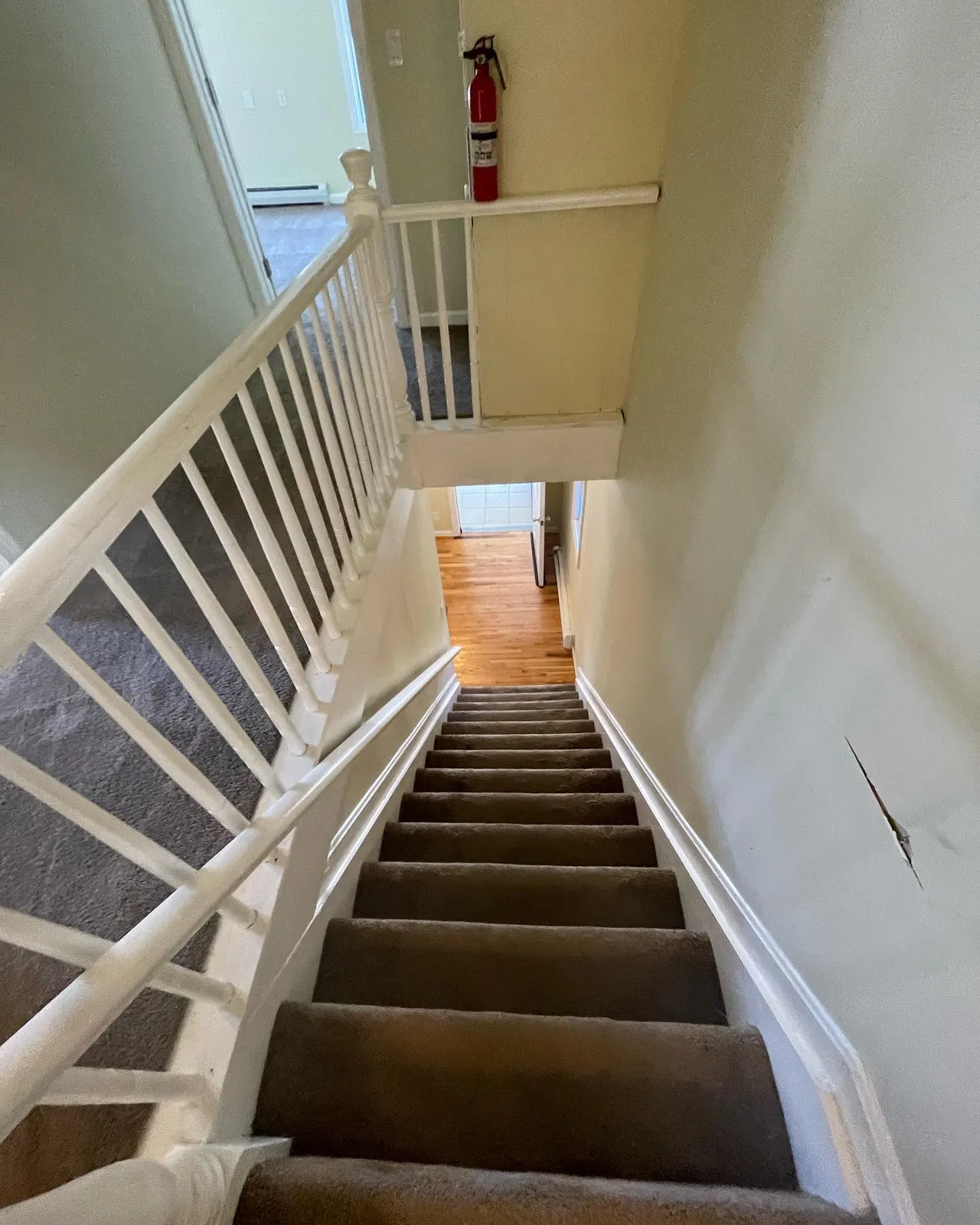 Ecoflux cleaning and professional services