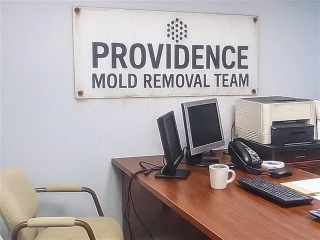 Providence Mold Removal Team work photo