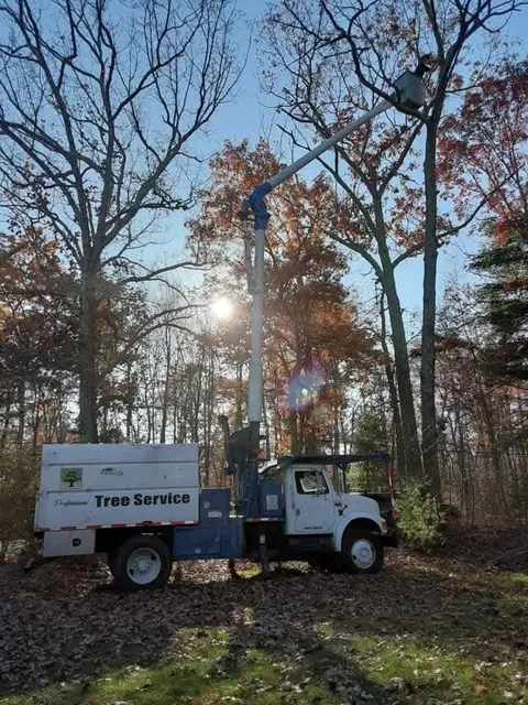 Charette Tree work photo