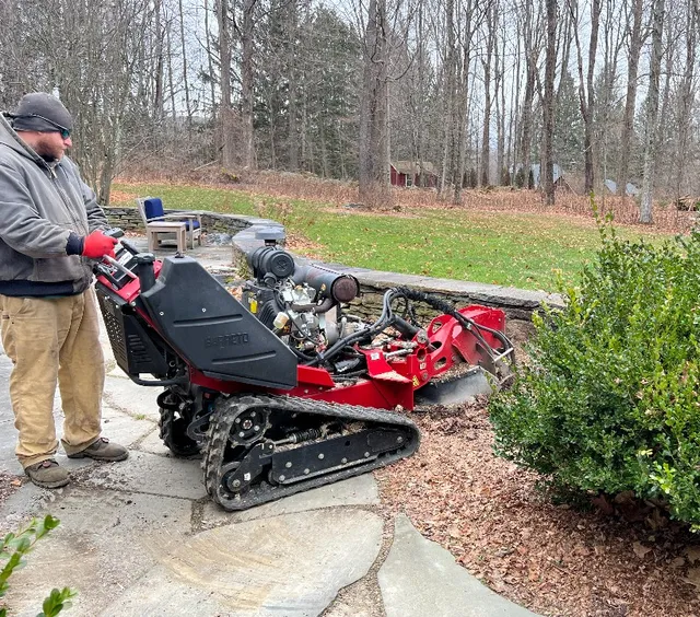 The Tree Guy work photo