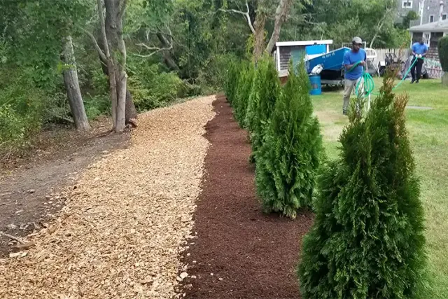 Professional Landscaper