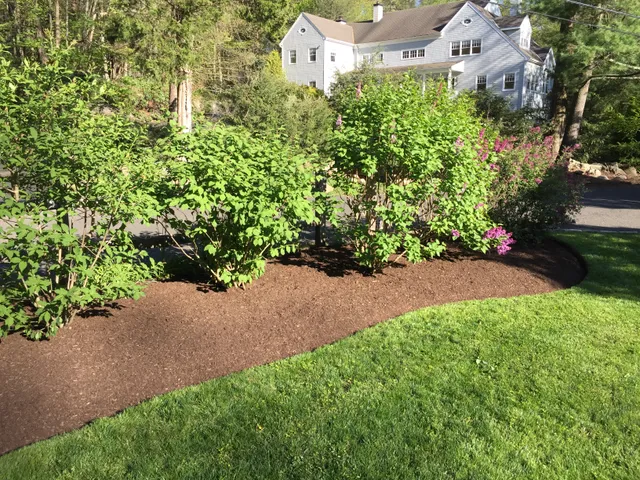 Jason Del Vecchio Landscaping work photo