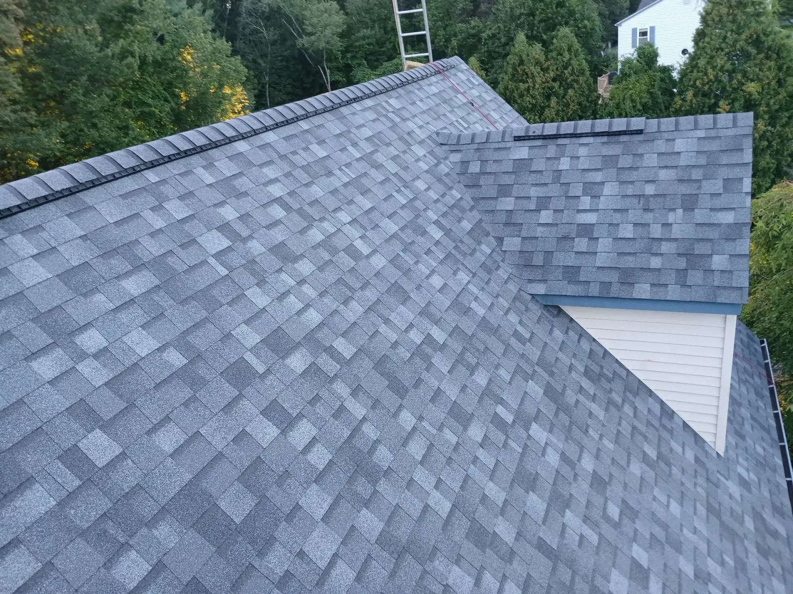 Gray shingled roof with a ladder visible in the background, viewed from above