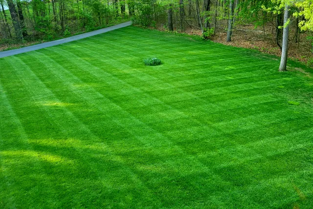 Gatsby Grounds Company, Inc. work photo