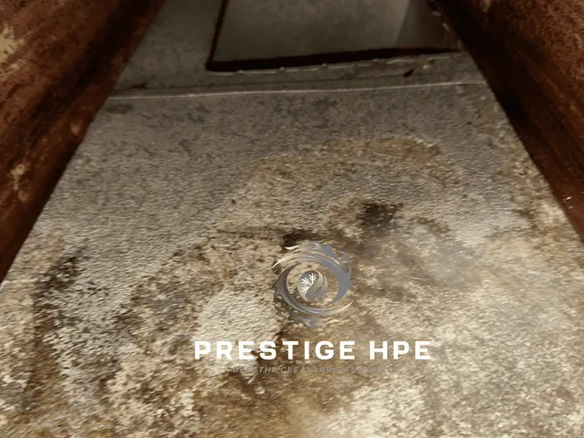 work photo from prestigehpe.com