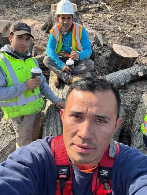 work photo from lifetreeservicesllc.com