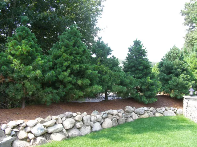 work photo from theprovidencegrasscompany.com