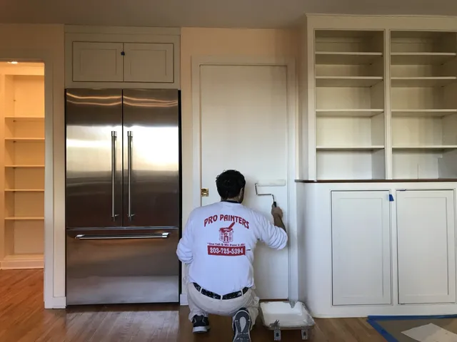 Pro Painters LLC work photo