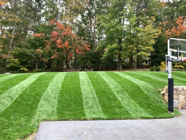 work photo from lattanziolandscaping.com