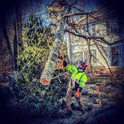 Arborist in neon jacket chainsaws a large fallen tree limb near a house in a wooded yard.