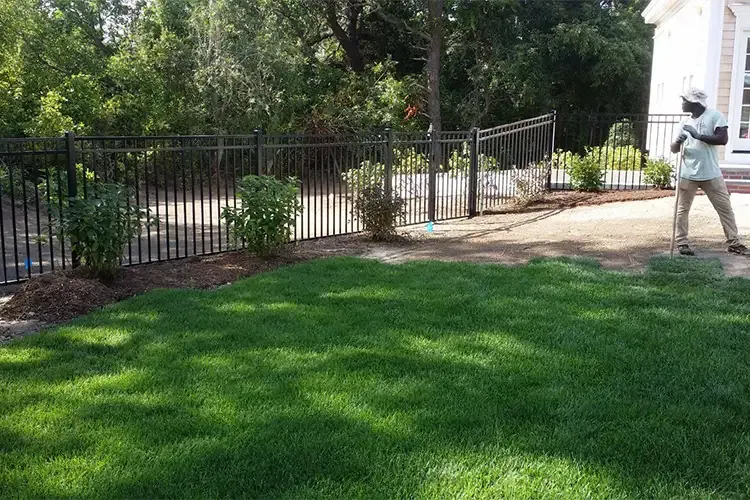 Professional Landscaper