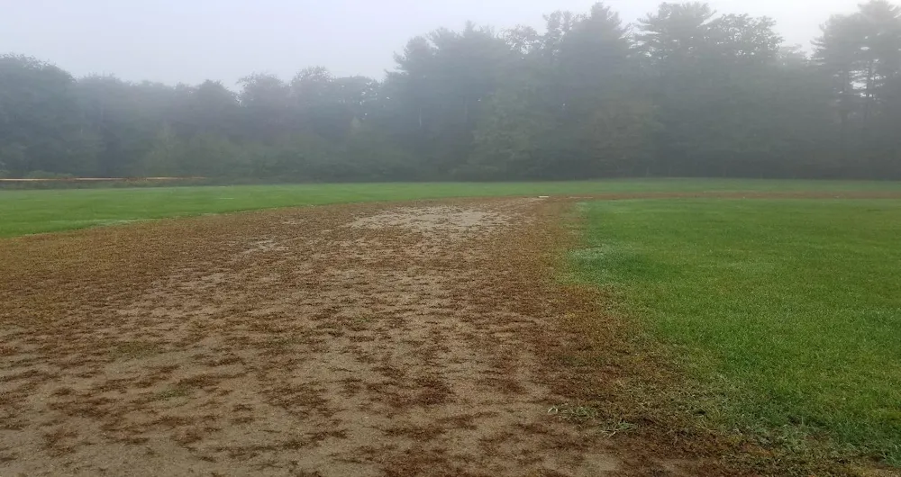 work photo from oasisballfields.com