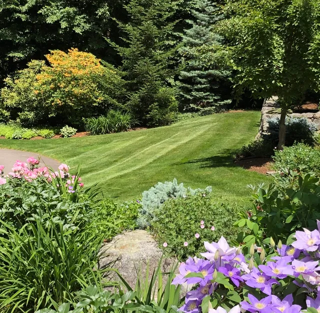 Palandjian Landscaping work photo