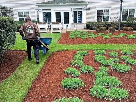 work photo from adavidlawncare.com