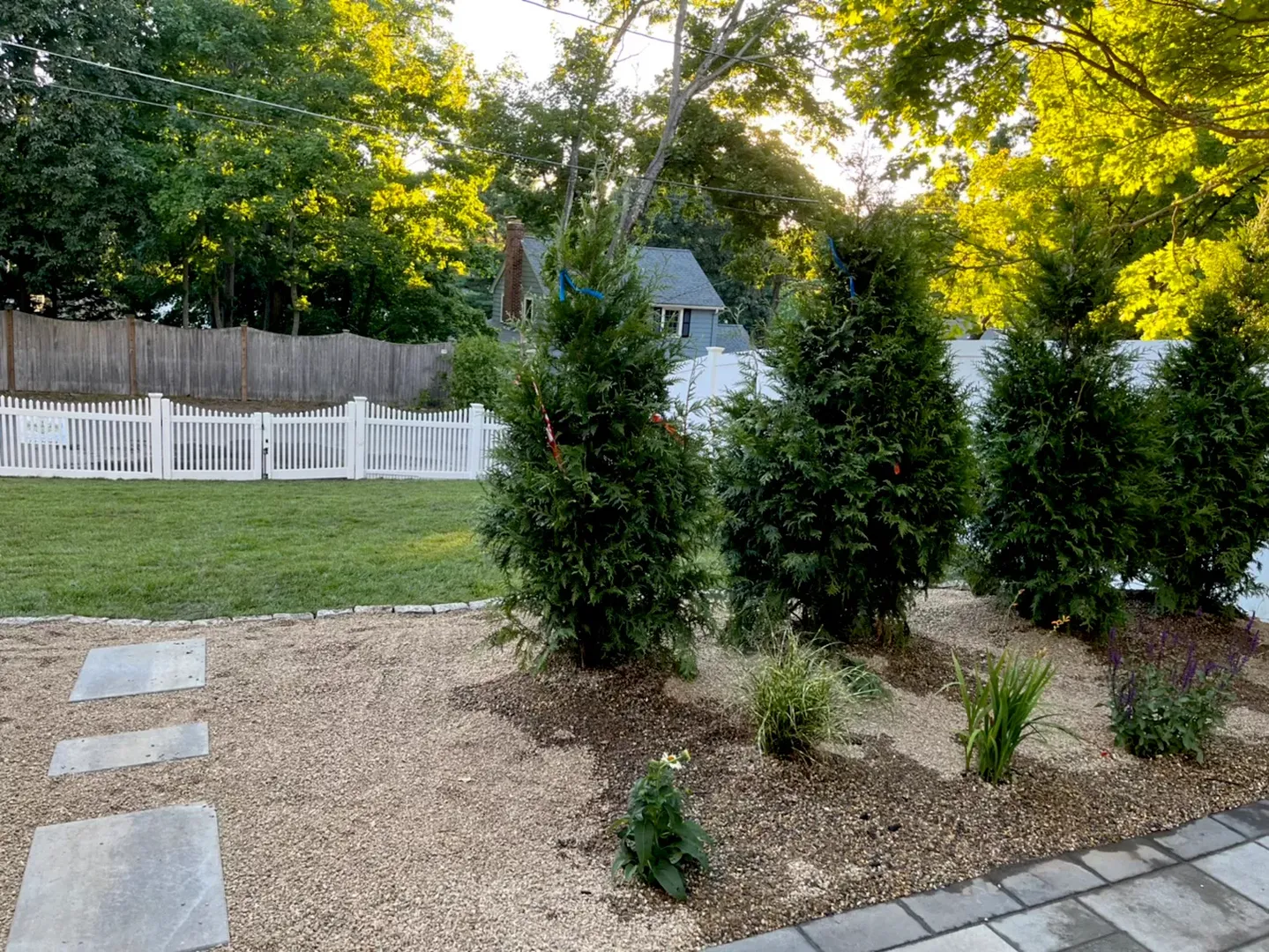 Zacarias Tree & Landscaping