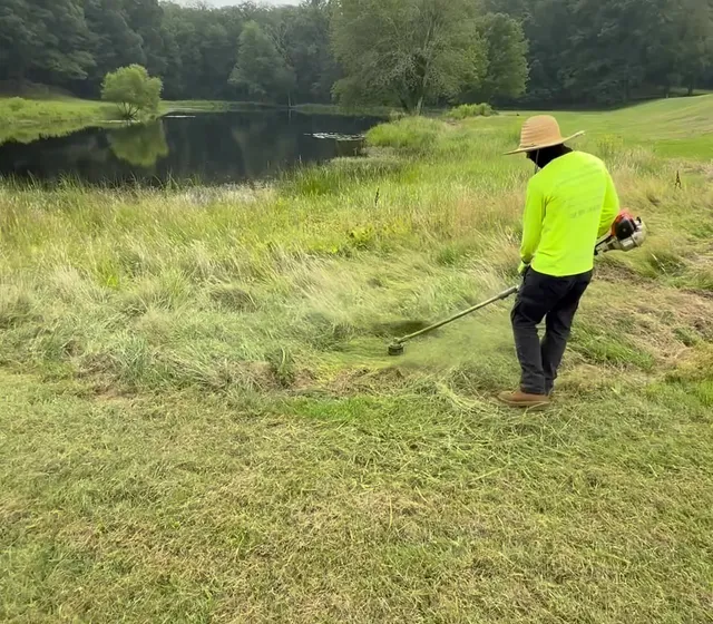 WeedEater Lawn Care work photo