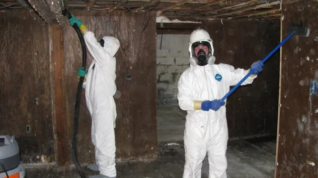 Advanced Mold Testing and Remediation Services work photo