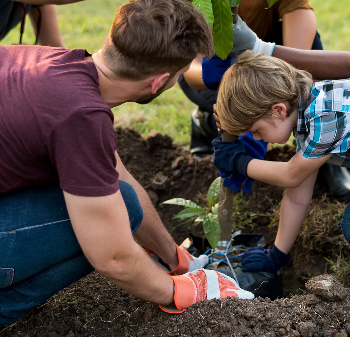 An adult and child wearing gloves work together to plant a small tree in the soil outdoors.