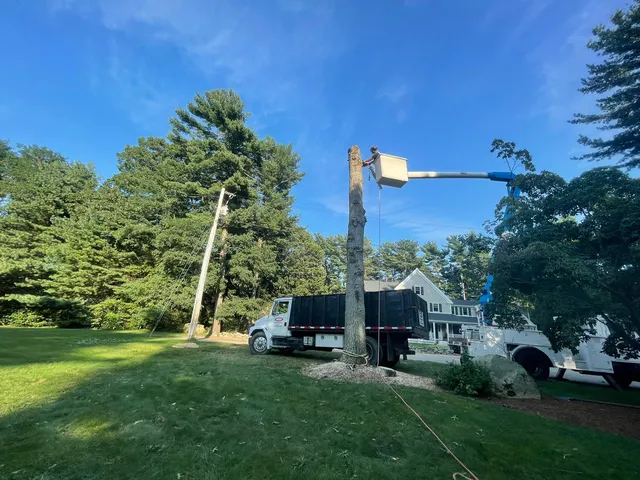 AGS LANDSCAPING & TREE SERVICE work photo