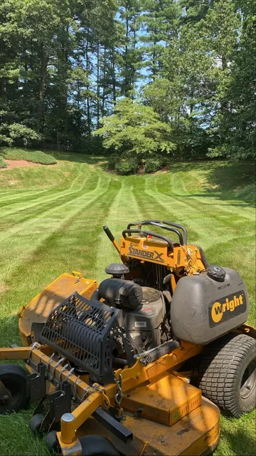 Stand-on mower cutting clean stripes into a green lawn