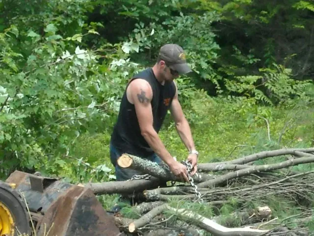 Tree Removal services 14